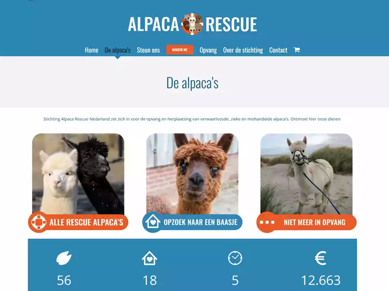 alpaca rescue nederland aagtekerke